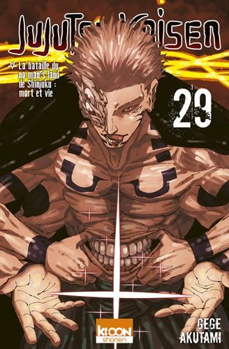 Jujutsu kaisen